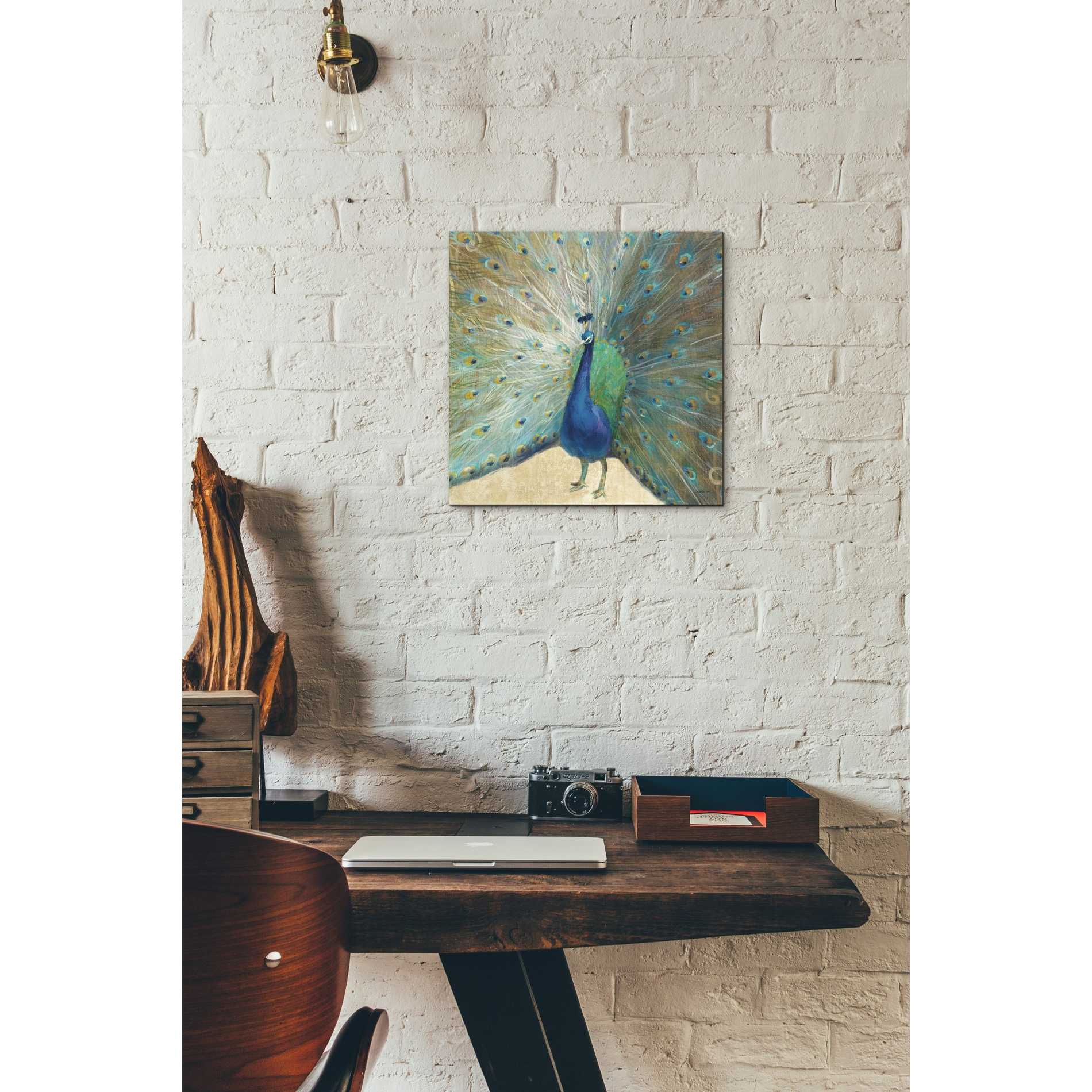 'Blue Peacock' by Danhui Nai, Canvas Wall Art,12 x 12
