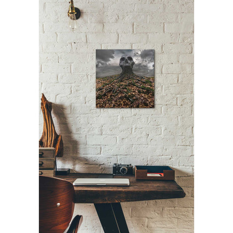 Image of 'Czacha' by Dariusz Klimczak, Canvas Wall Art,12 x 12