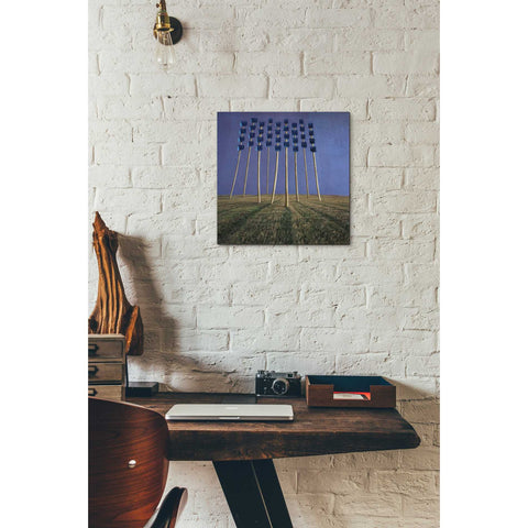 Image of 'Flowers' by Dariusz Klimczak, Canvas Wall Art,12 x 12