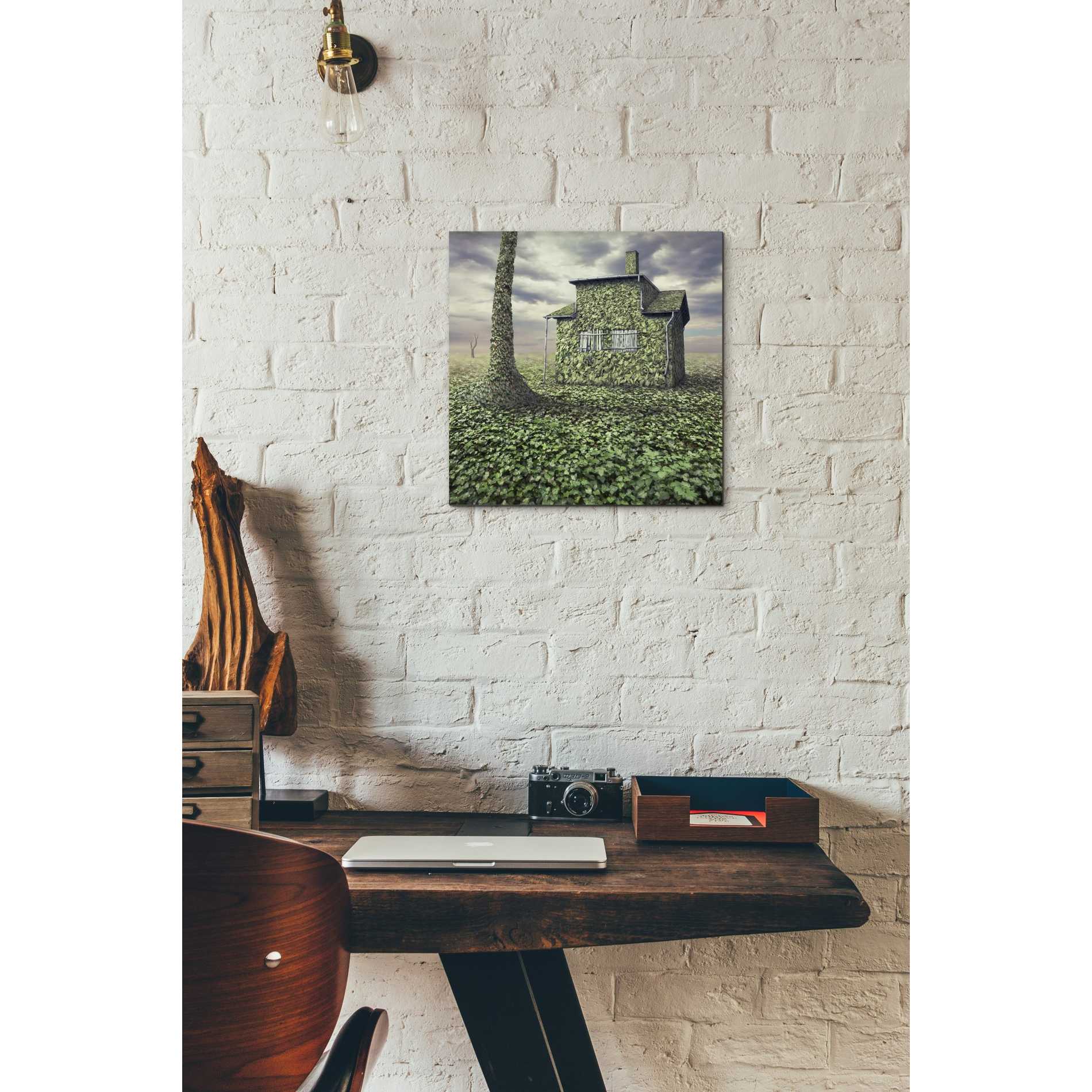 'House of Leaves' by Dariusz Klimczak, Canvas Wall Art,12 x 12