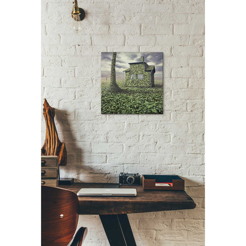 Image of 'House of Leaves' by Dariusz Klimczak, Canvas Wall Art,12 x 12