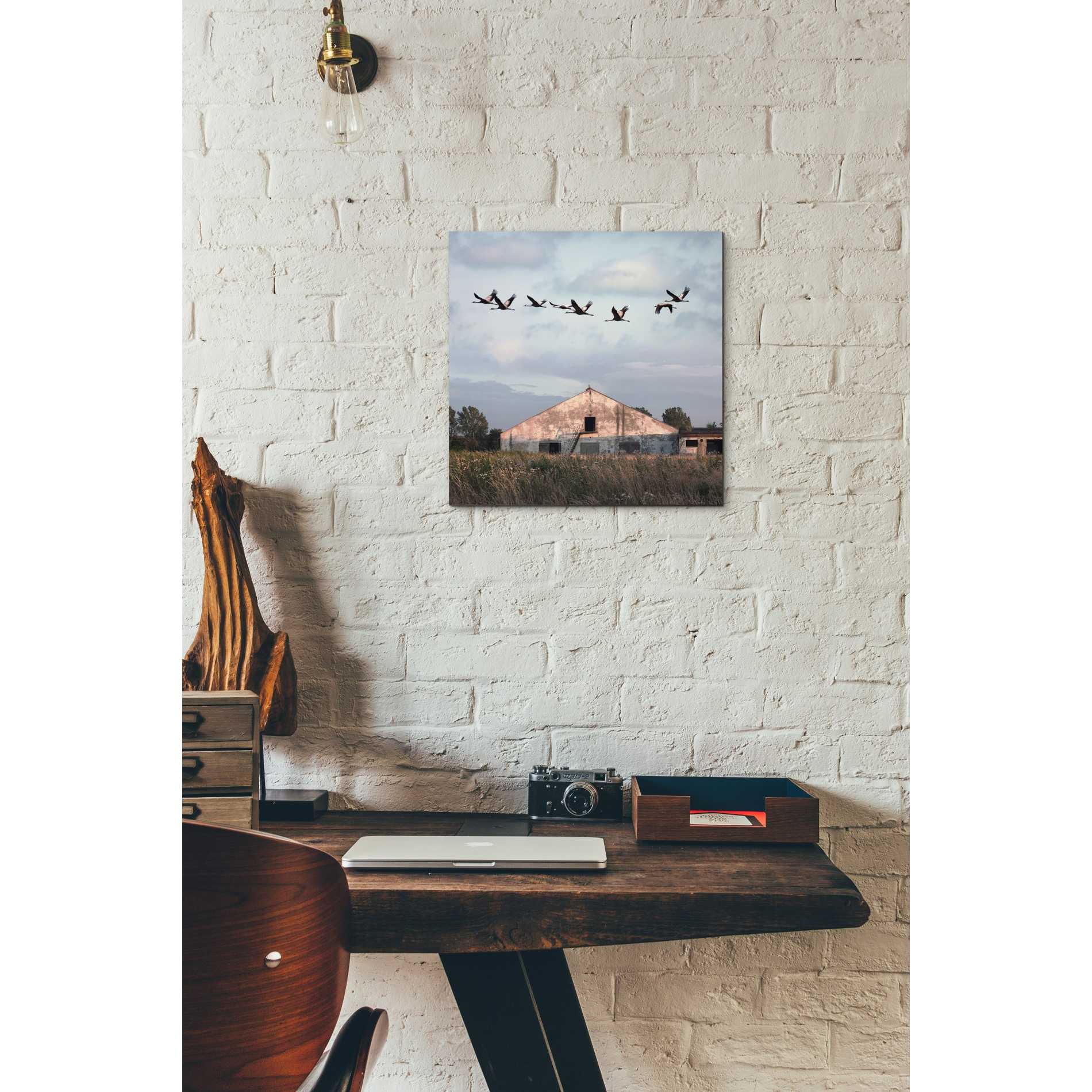 'Oktet' by Dariusz Klimczak, Canvas Wall Art,12 x 12