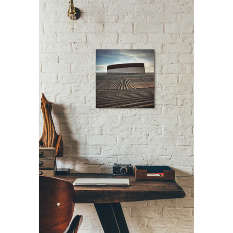 Image of 'Combing The Field' by Dariusz Klimczak, Canvas Wall Art,12 x 12