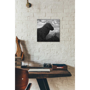 'Dog Rock' by Dariusz Klimczak, Canvas Wall Art,12 x 12