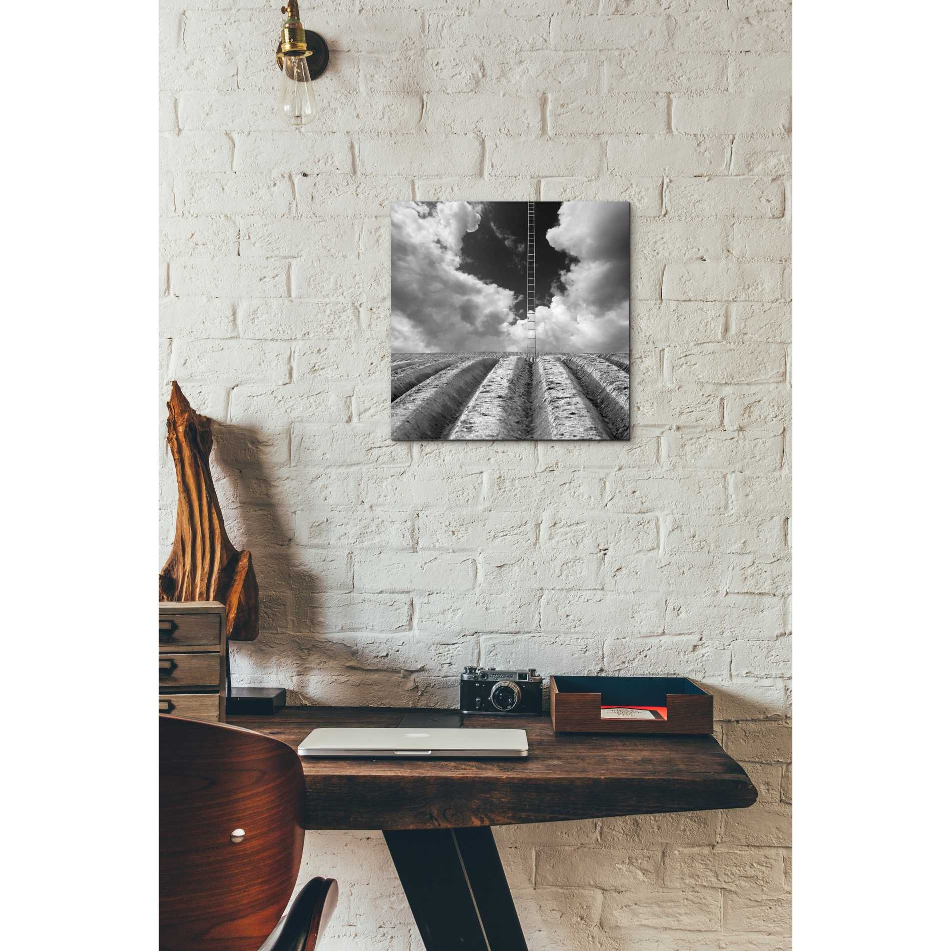 'Drabinka' by Dariusz Klimczak, Canvas Wall Art,12 x 12