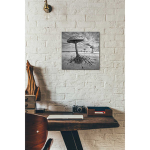 'Kanie' by Dariusz Klimczak, Canvas Wall Art,12 x 12