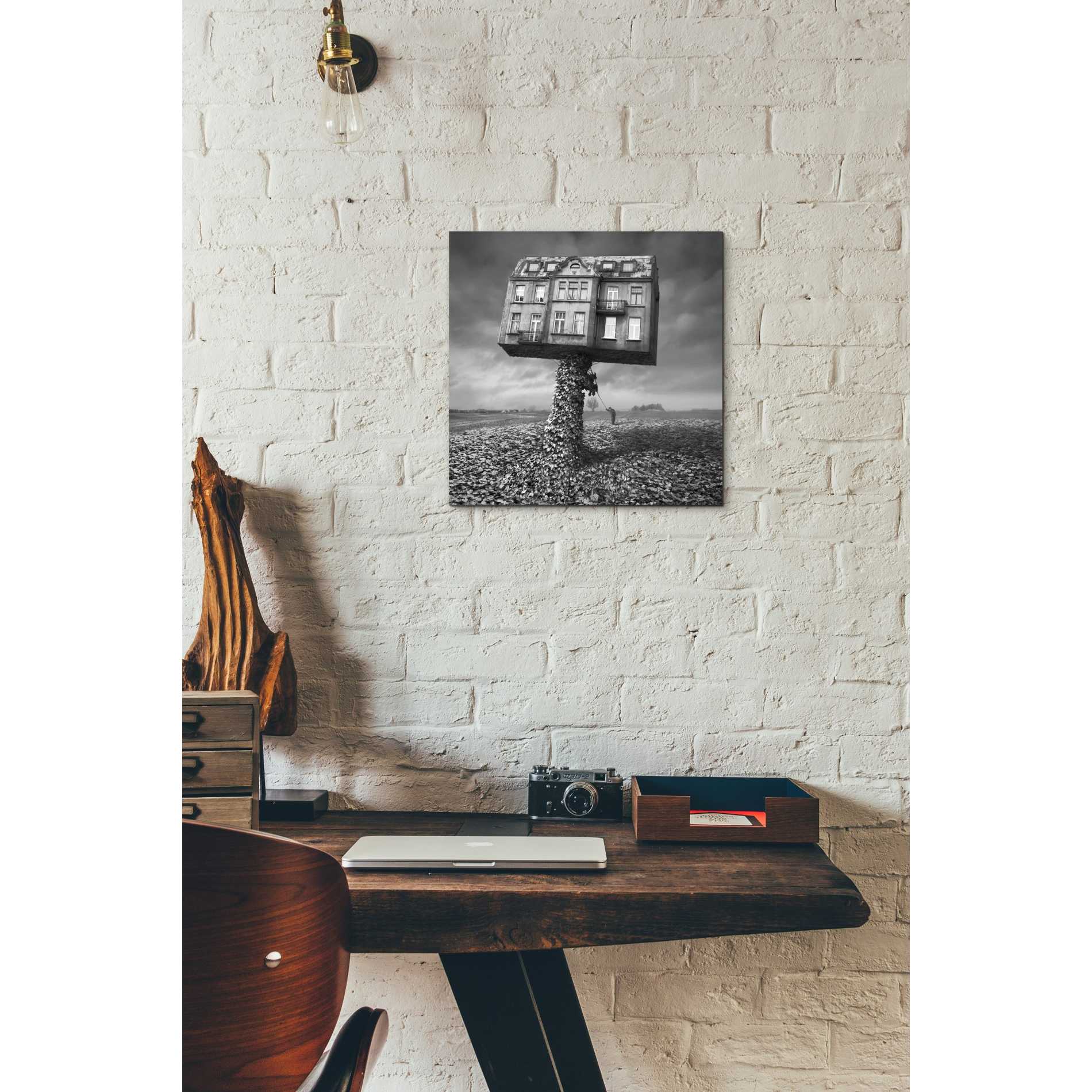 'Mad Architect' by Dariusz Klimczak, Canvas Wall Art,12 x 12
