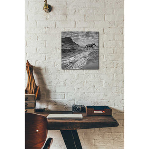 'Mustang Mountain' by Dariusz Klimczak, Canvas Wall Art,12 x 12