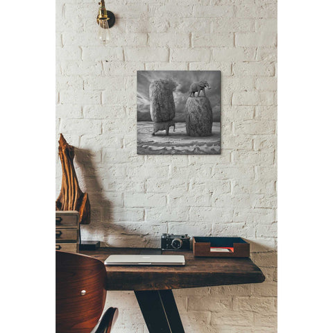 Image of 'Relativity' by Dariusz Klimczak, Canvas Wall Art,12 x 12