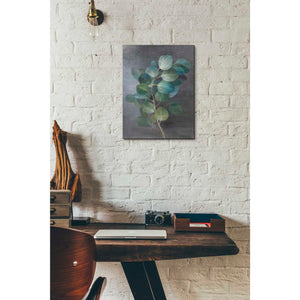 'Fresh I' by Danhui Nai, Canvas Wall Art,12 x 16
