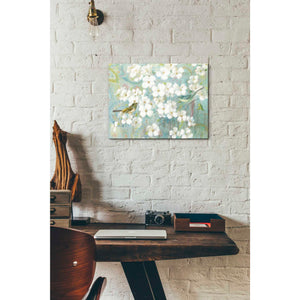'Spring Dream II' by Danhui Nai, Canvas Wall Art,12 x 16