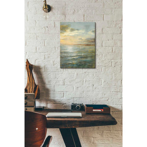 'Serene Sea III' by Danhui Nai, Canvas Wall Art,12 x 16