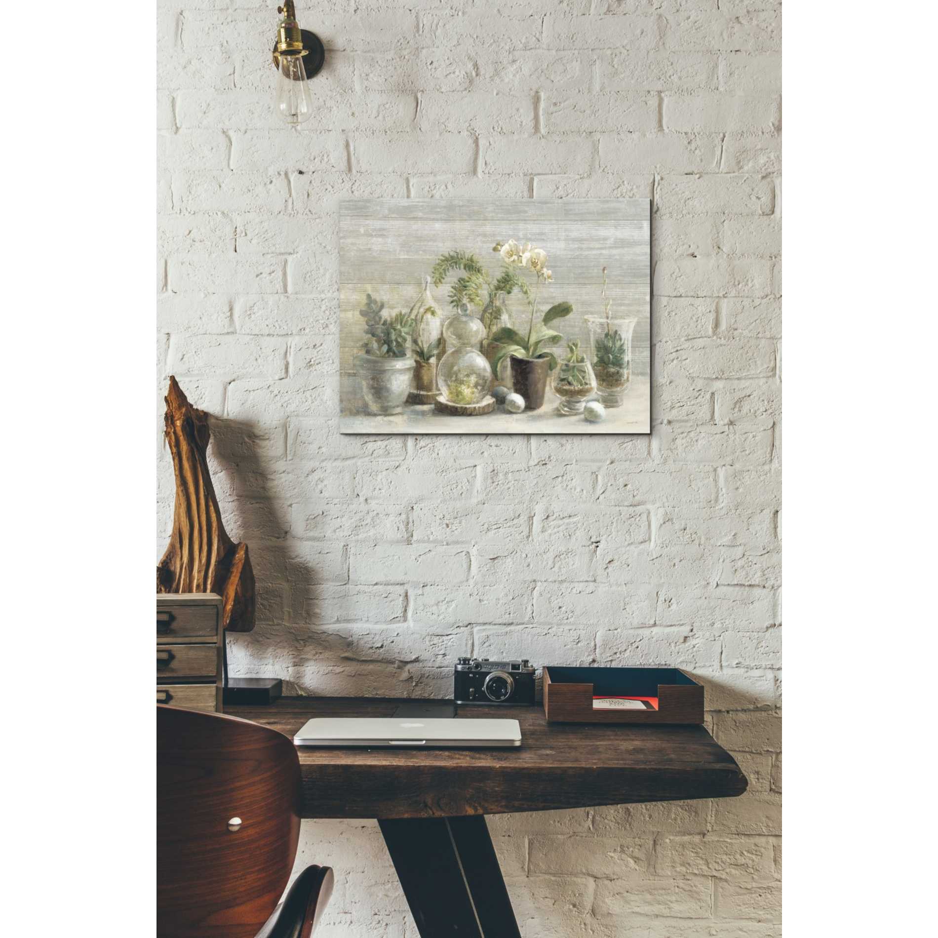 'Greenhouse Orchids on Wood' by Danhui Nai, Canvas Wall Art,12 x 16