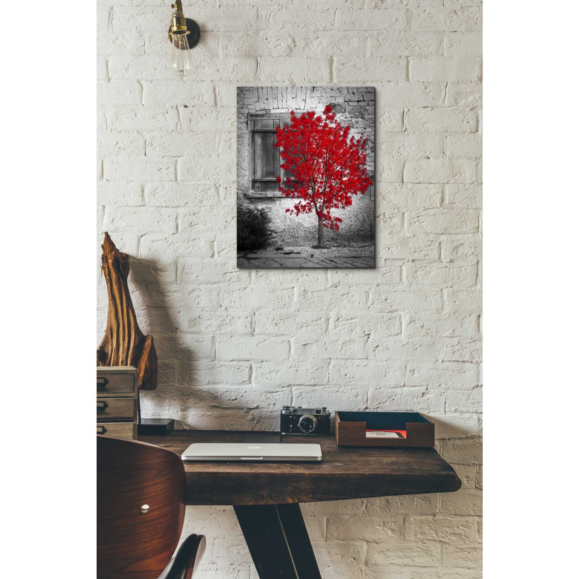 'Passion' Canvas Wall Art,12 x 16