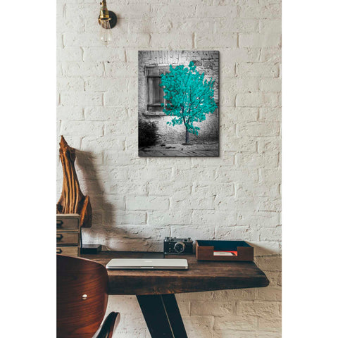 Image of 'Wisdom' Canvas Wall Art,12 x 16