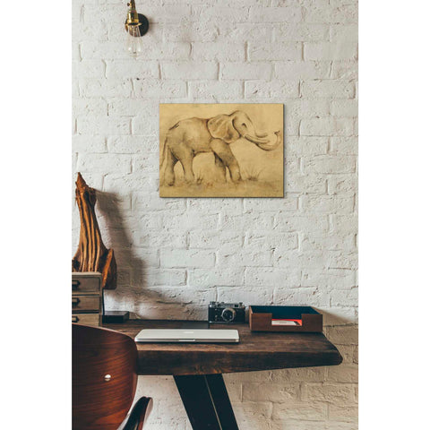 Image of 'Global Elephant Light Crop' by Cheri Blum, Canvas Wall Art,12 x 16