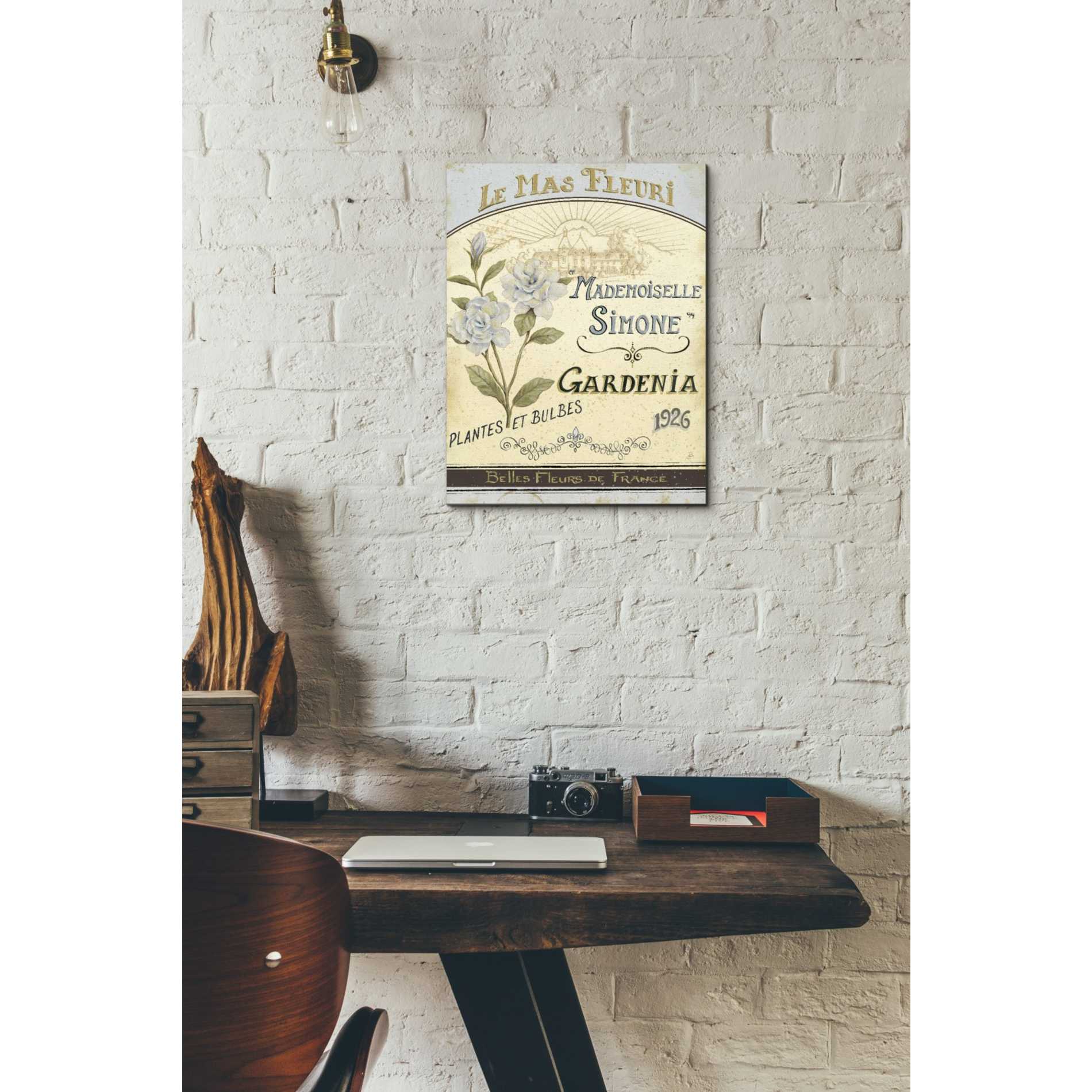 'French Seed Packet IV' by Daphne Brissonet, Canvas Wall Art,12 x 16