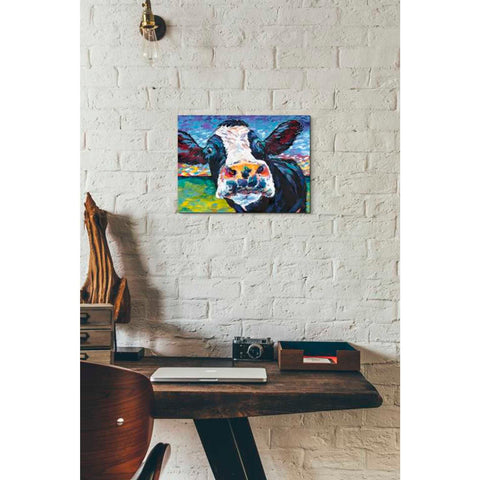 Image of 'Curious Cow II' by Carolee Vitaletti Giclee Canvas Wall Art