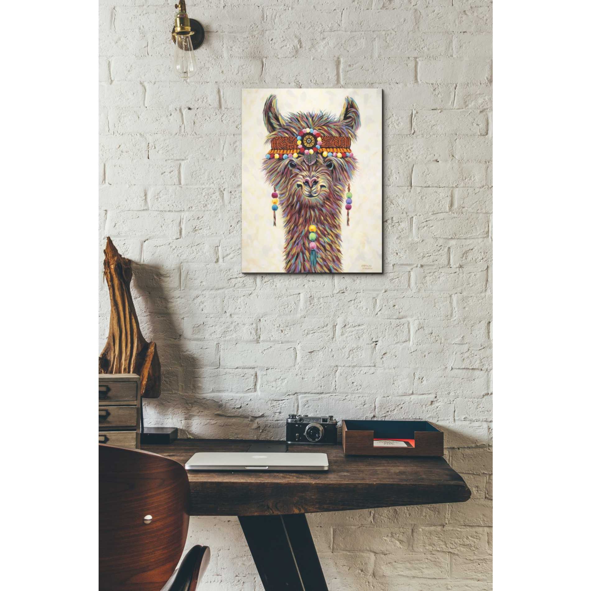 'Hippie Llama II' by Carolee Vitaletti Canvas Wall Art,12 x 16