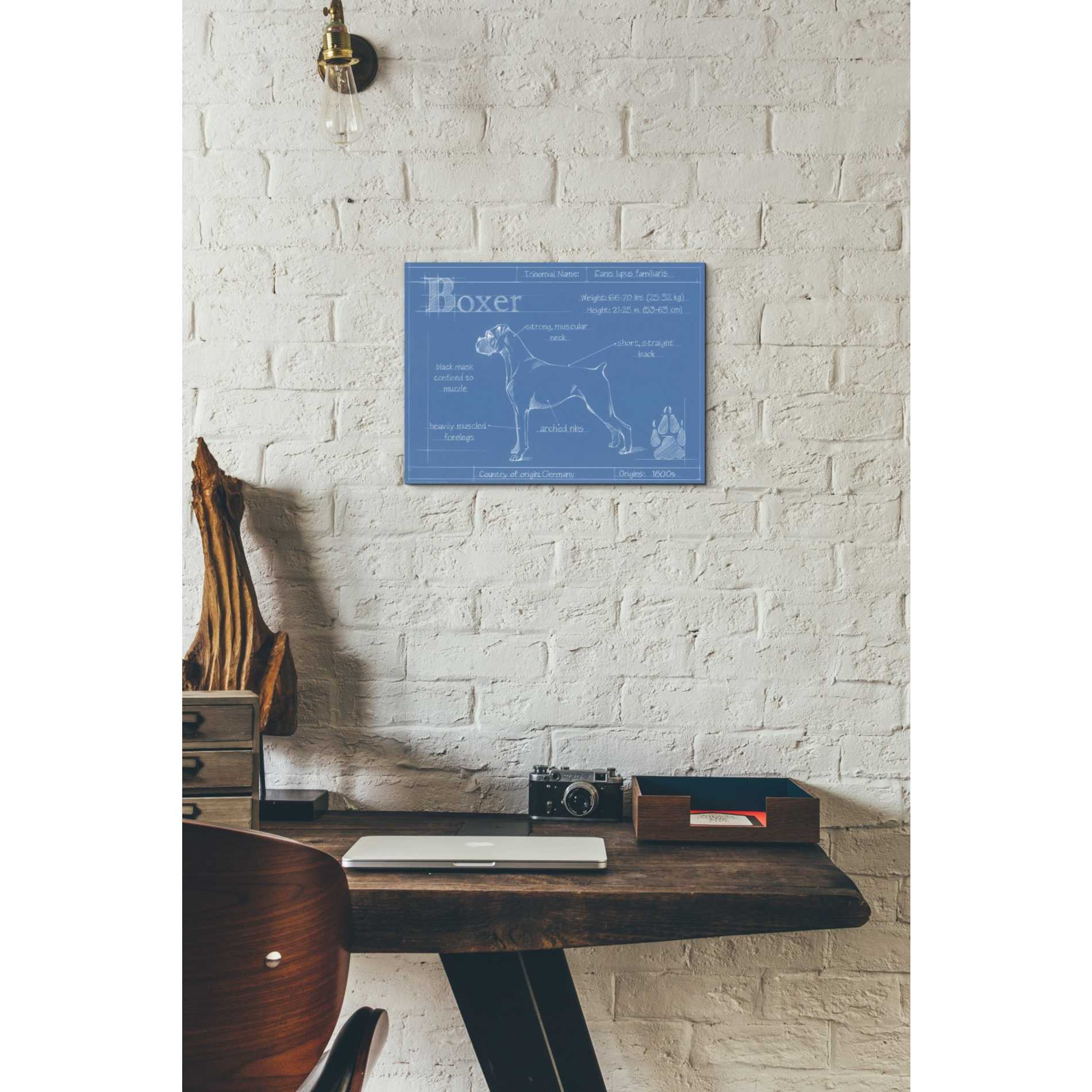 'Blueprint Boxer' by Ethan Harper Canvas Wall Art,16 x 12