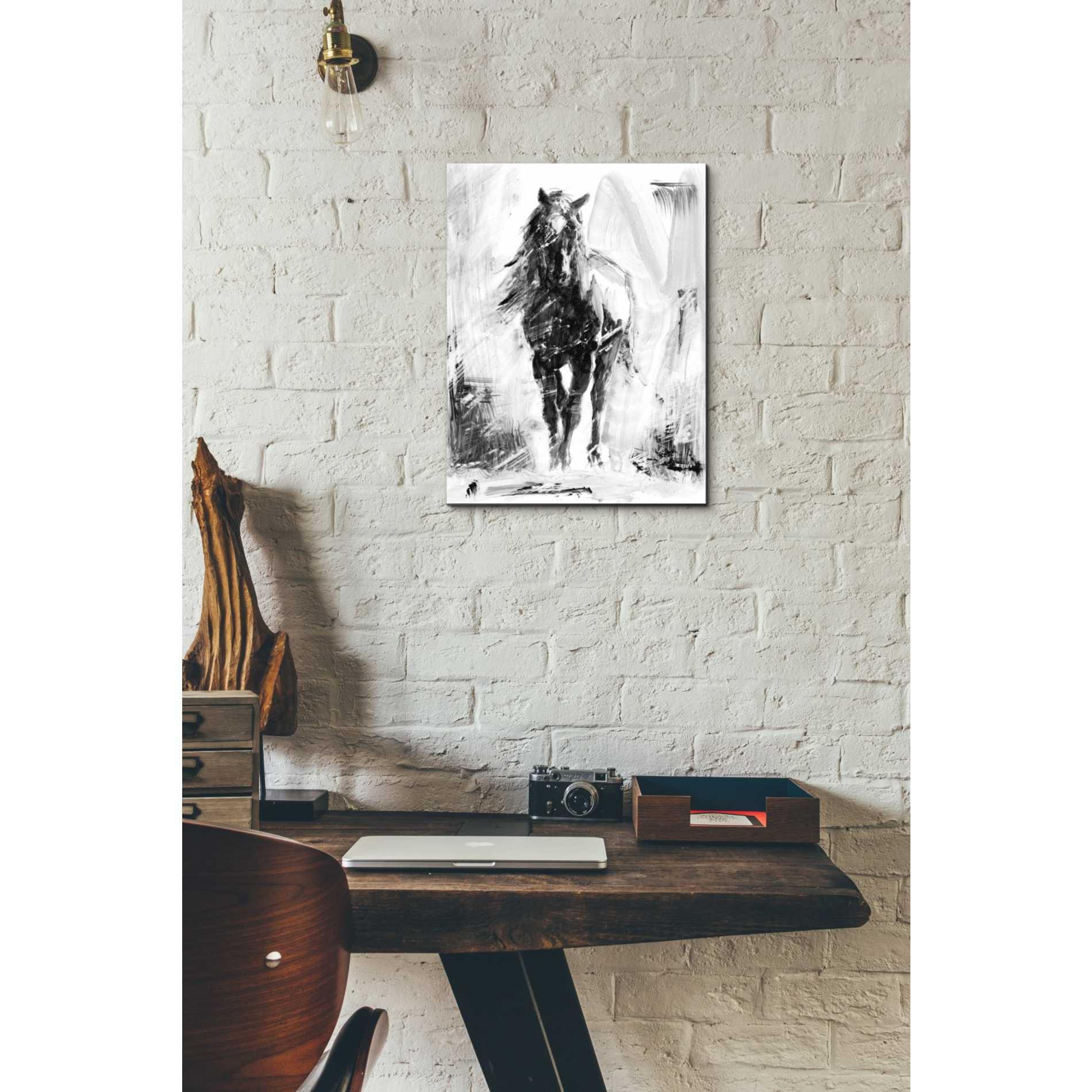 'Rustic Stallion II' by Ethan Harper Canvas Wall Art,12 x 16