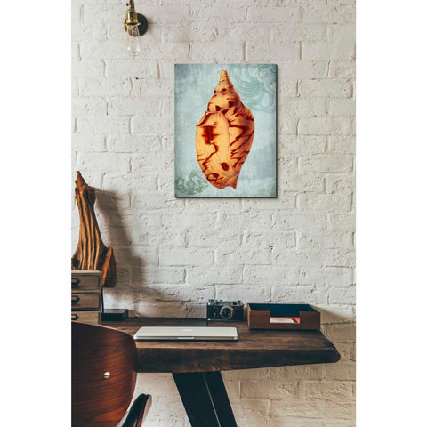 Image of 'Coastal Life Collection 2 d' by Fab Funky Giclee Canvas Wall Art