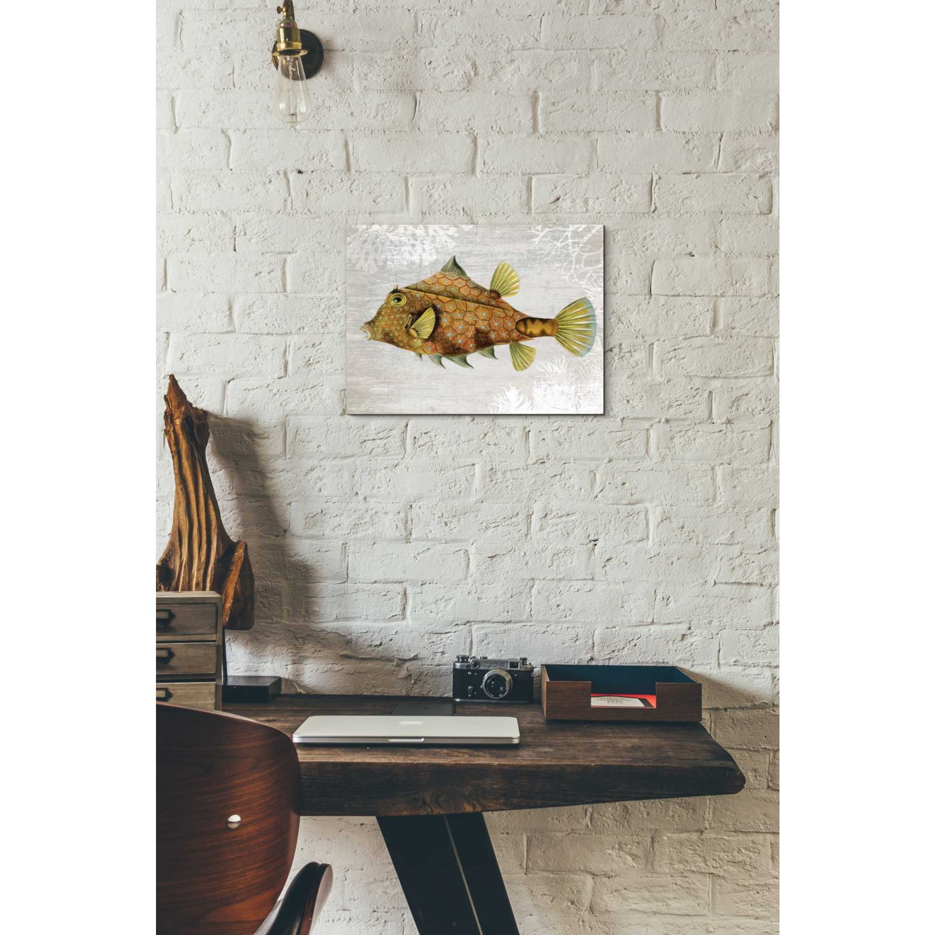 'Gold Turret Fish' by Fab Funky Giclee Canvas Wall Art