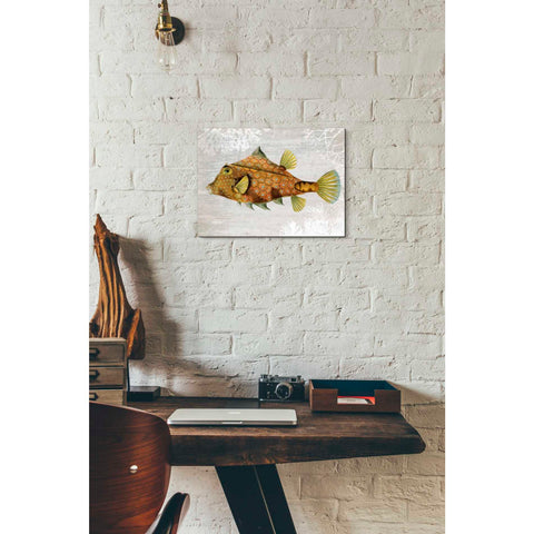 Image of 'Gold Turret Fish' by Fab Funky Giclee Canvas Wall Art