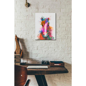'Horse Portrait 2 Rainbow Splash' by Fab Funky Giclee Canvas Wall Art