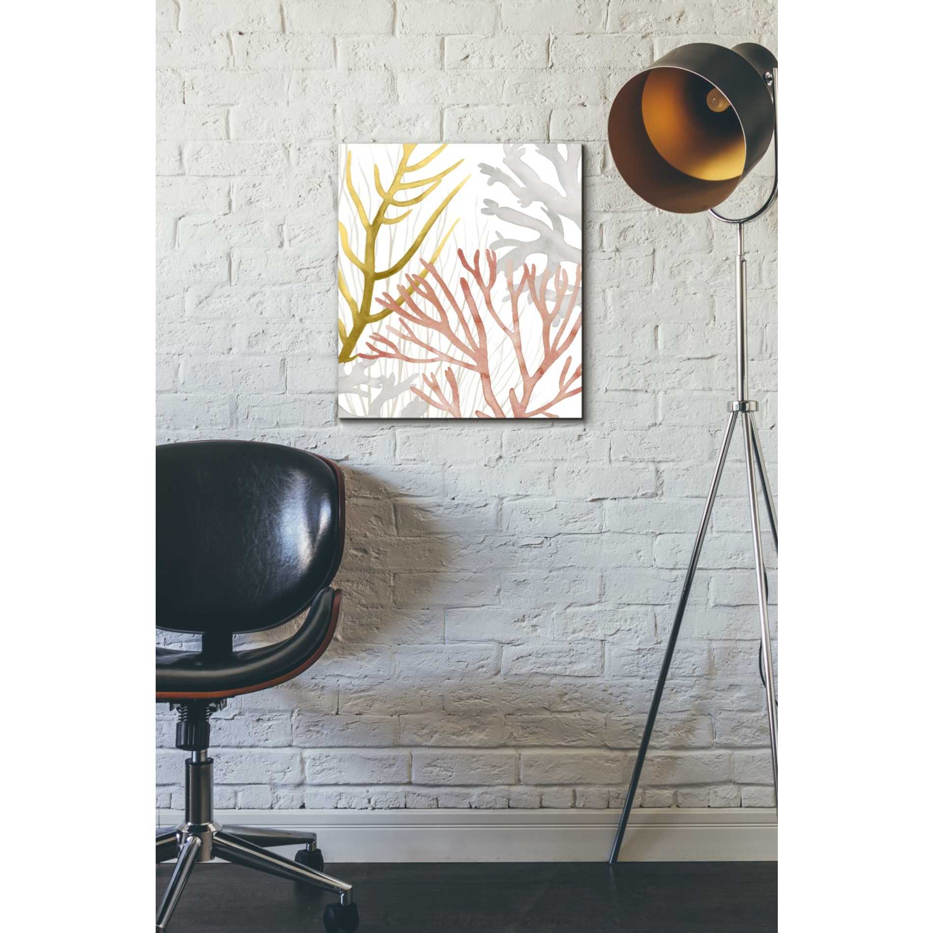 'Desert Coral II' by Grace Popp Canvas Wall Art,12 x 16