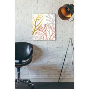 'Desert Coral II' by Grace Popp Canvas Wall Art,12 x 16
