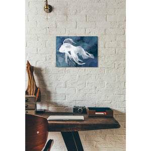'Indigo Fish I' by Grace Popp Canvas Wall Art,16 x 12