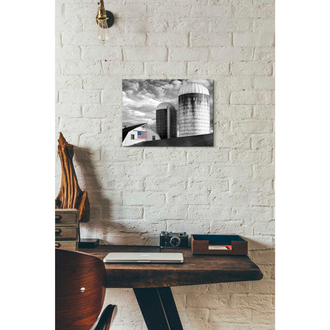 Image of 'Flags of Our Farmers II' by James McLoughlin Giclee Canvas Wall Art