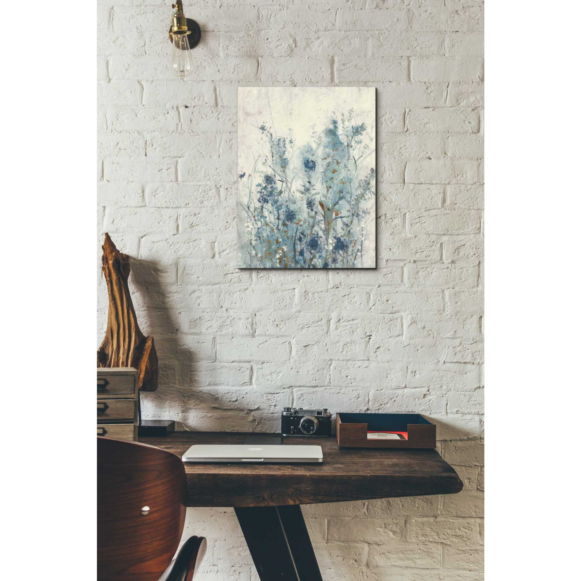 'Blue Spring II' by Tim OToole Canvas Wall Art,12 x 16