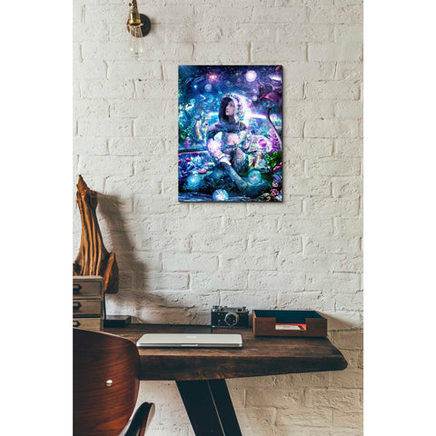 Image of 'Observing Our Celestial Synergy' by Cameron Gray, Canvas Wall Art,12 x 16