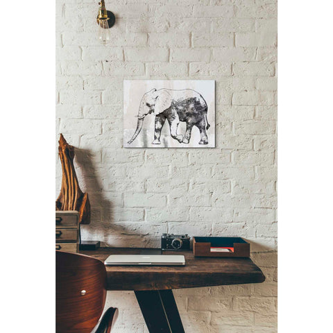 Image of 'Rustic Grey Elephant 2' by Irena Orlov, Canvas Wall Art,16 x 12
