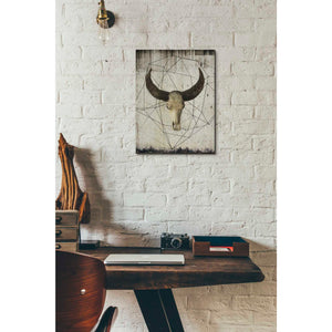 'Buffalo Skull' by Irena Orlov, Canvas Wall Art,12 x 16