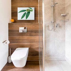 'Chestnut' by Zigen Tanabe, Giclee Canvas Wall Art