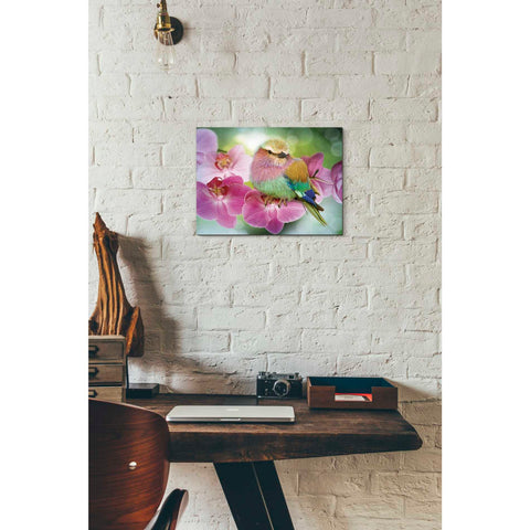 Image of 'Pretty Boy' by Steve Hunziker, Canvas Wall Art,16 x 12