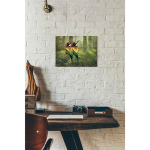 'A Bright Future' by Steve Hunziker, Canvas Wall Art,16 x 12