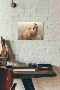'Big Bear 1' by Karen Smith, Canvas Wall Art,16x12