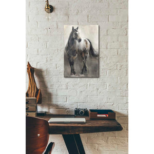 'Copper and Nickel' by Marilyn Hageman, Canvas Wall Art,12 x 18