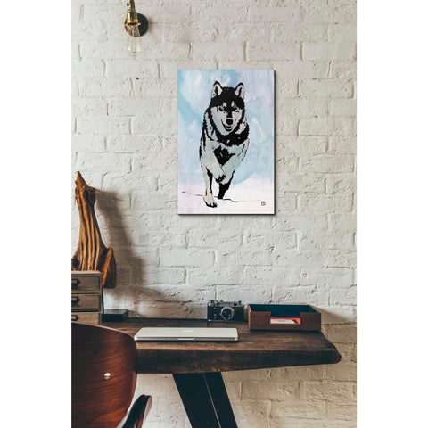 Image of 'Wolf 2' by Giuseppe Cristiano, Canvas Wall Art,12 x 18