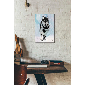 'Wolf 2' by Giuseppe Cristiano, Canvas Wall Art,12 x 18