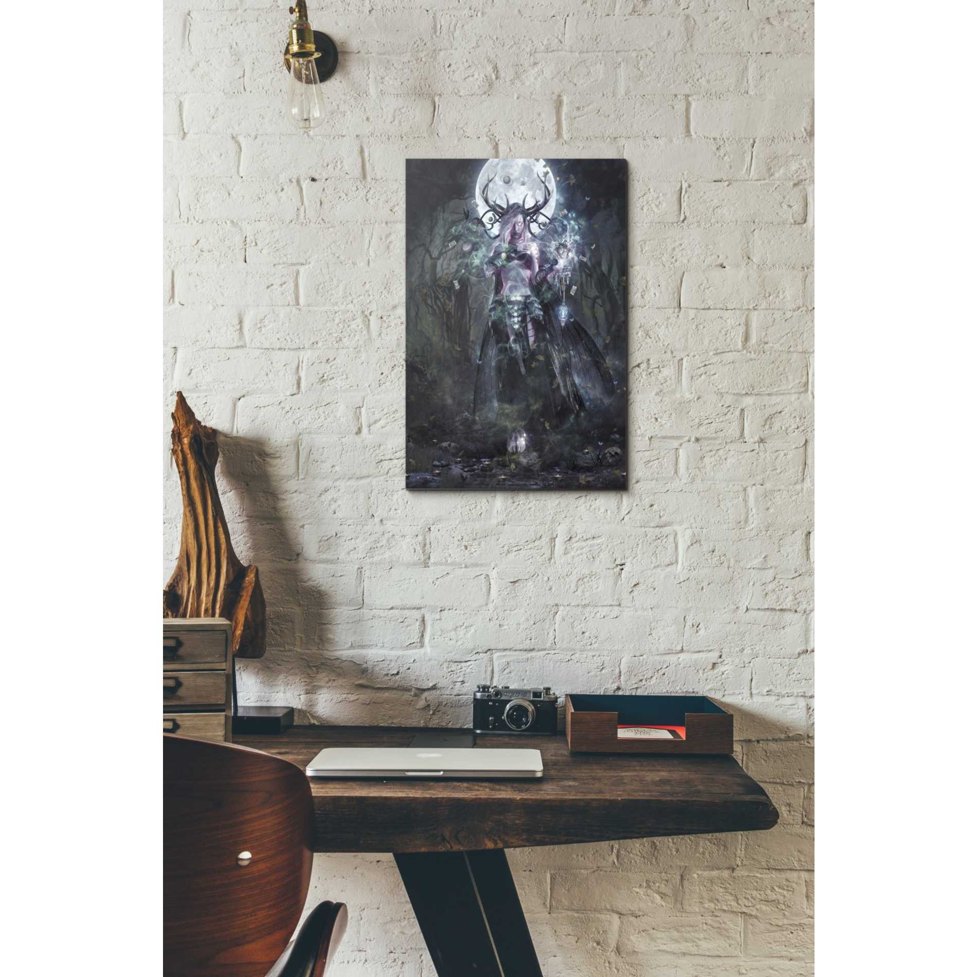 'The Dreamcatcher' by Cameron Gray, Canvas Wall Art,12 x 18