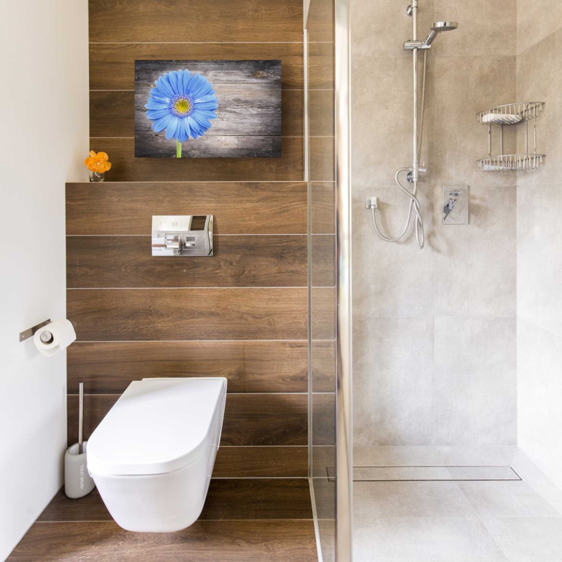 'Serenity' Canvas Wall Art,12 x 18