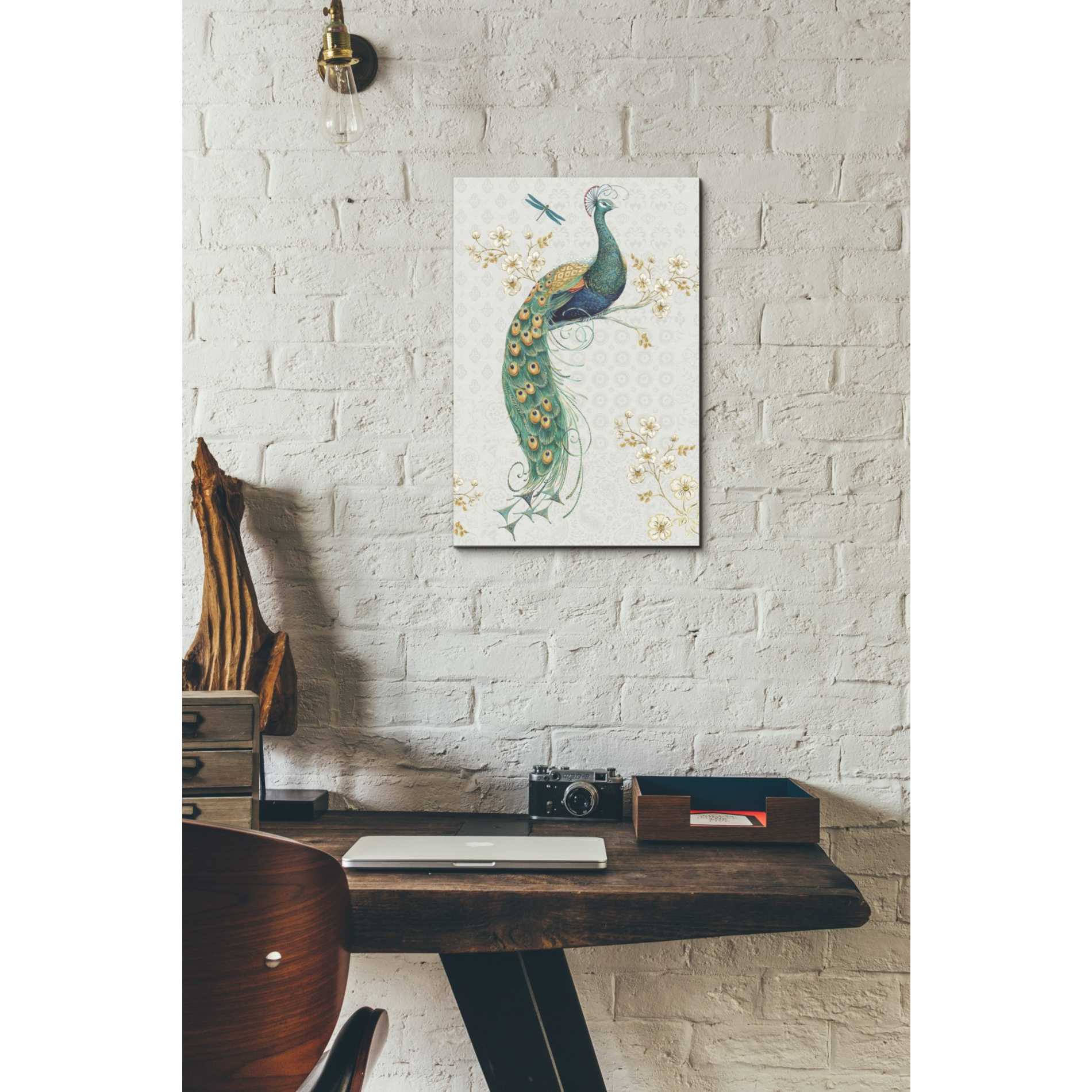'Ornate Peacock IXA' by Daphne Brissonet, Canvas Wall Art,12 x 18