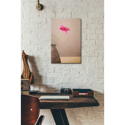 Image of 'Simple' by Elena Ray Canvas Wall Art,12 x 18