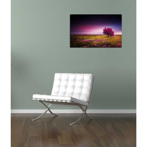 'Pink Nights' Canvas Wall Art,12 x 18