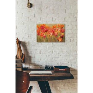 'Tulips in the Midst III' by Marilyn Hageman, Canvas Wall Art,18 x 12